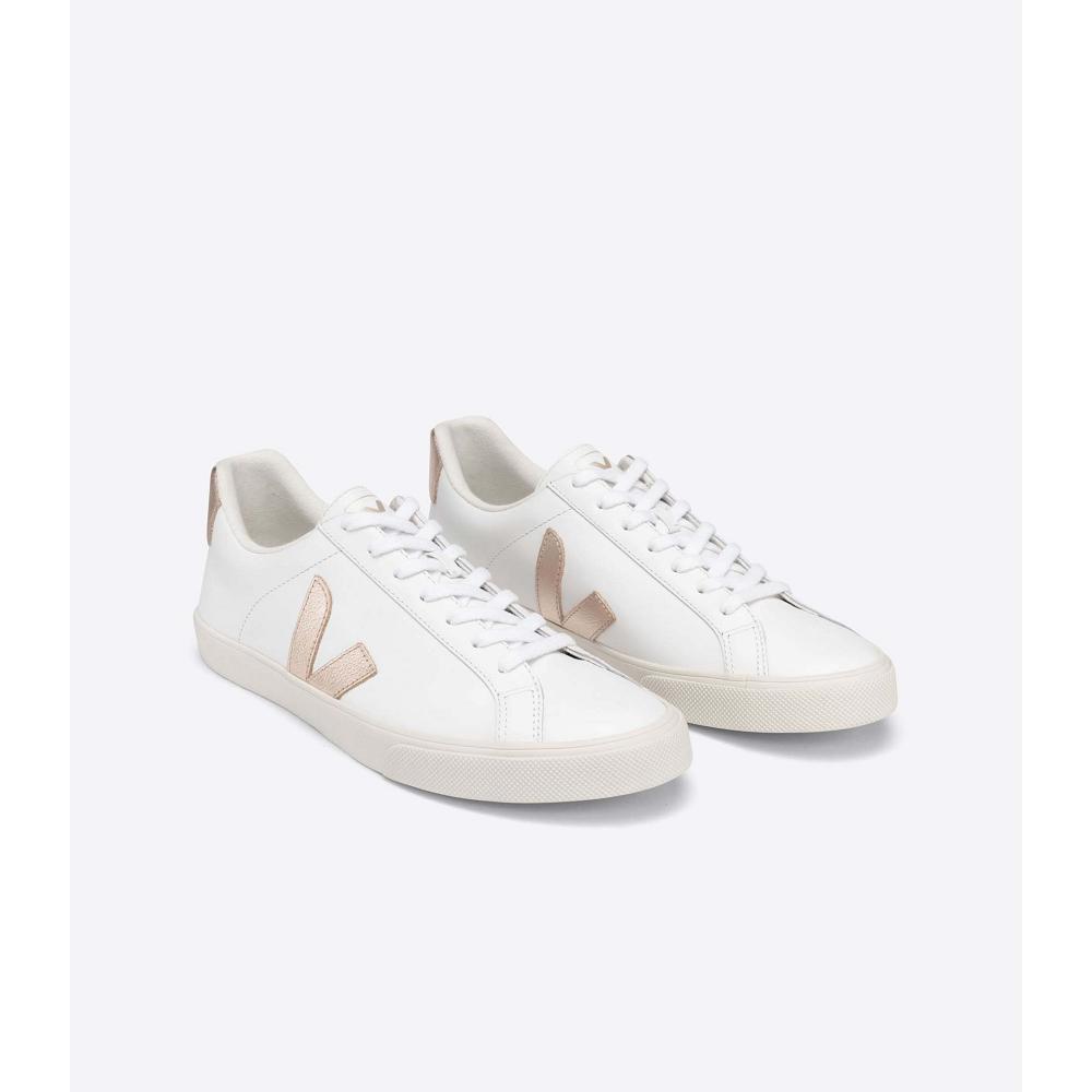 Veja ESPLAR LEATHER Women's Sneakers White/Brown | CA 606TCE